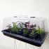 Propagation Box - Plantsmith | Indoor Plants Melbourne